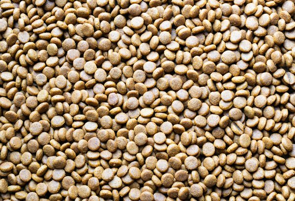 How Effective Is Platelet-Rich Plasma Therapy in Treating Chronic Tendon Injuries?